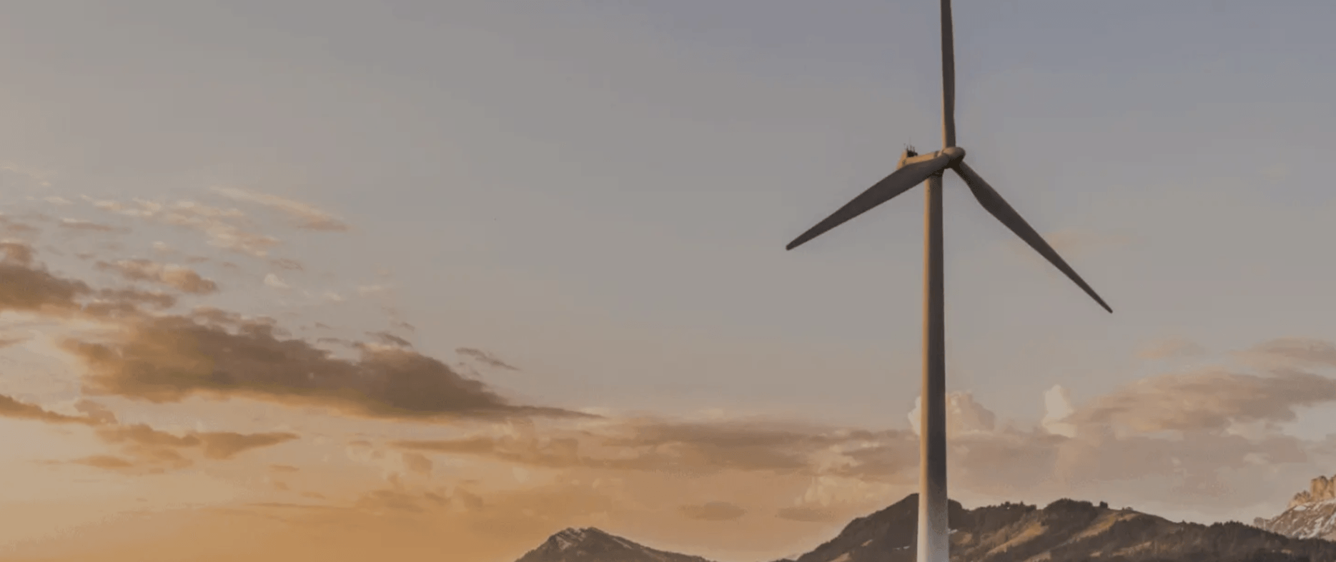 Enbi Global - SEO and Web Design Transformation