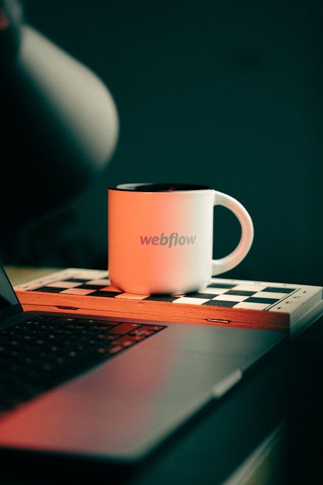 What is Webflow and Why We Love it!